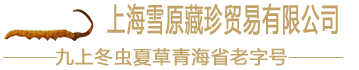 上海雪原藏珍贸易有限公司